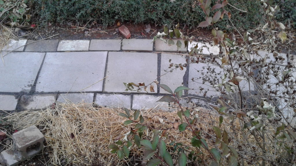 A cement flag garden path