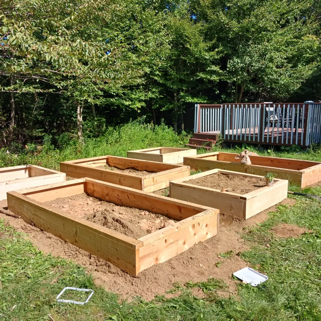 6 raised beds edged with lumber for planting annual crops